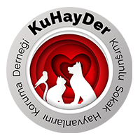 Kuhayder